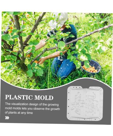 OFFSCH Apples Growth Mold 2pcs Square Apple Molds Fruit Growth Shaping Accessories Fruit Mold Fruit Shaper Melon Stereotypes - Buy Online on SooperMarket.com