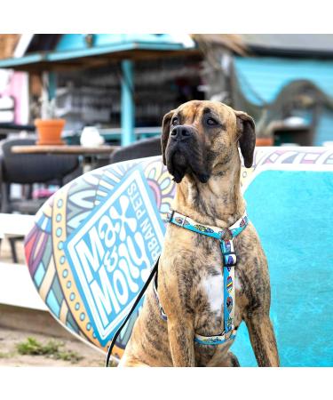 Max & Molly H-Harness - Aloha | Comfortable & Stylish Dog Harness for Every Adventure | Shop Now for International Shipping - Buy Online on SooperMarket.com