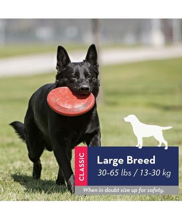 KONG Flyer Large - Durable Rubber Flying Disc Dog Toy | Buy Online - Buy Online on SooperMarket.com