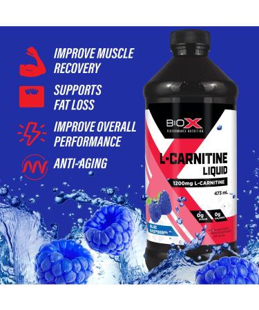 BioX L-Carnitine Liquid 1200mg | 100% Pure L-Carnitine Tartrate | Stimulant Free Weight Loss Support Exercise Performance Muscle Recovery | Sugar Free Calorie Free | 473 mL Blue Raspberry (Pack of 1) 473 ml (Pack of 1) - Buy Online on SooperMarket.com