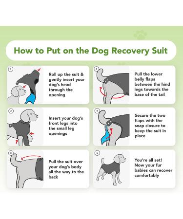 Suitical Recovery Suit for Extra Large Dogs - Black XL - Buy Online on SooperMarket.com