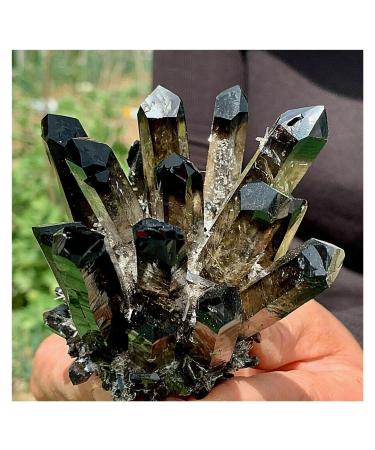 Natural Crystal Rough Crystals 1pc Black Phantom Quartz Crystal Cluster (Size : 1100-1200g)