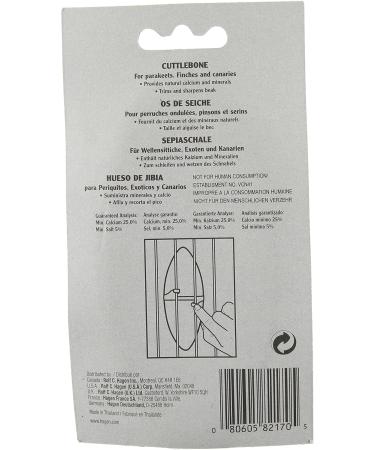 Buy HG Sepia Shell Small - Premium Quality Fast International Shipping - Buy Online on SooperMarket.com
