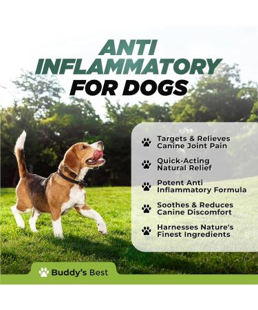 BUDDY'S BEST Anti-Inflammatory for Dogs - All-Natural Joint Pain Relief with Flaxseed Hemp Ginger & Turmeric Oils Soothing Formula 50ml - Buy Online on SooperMarket.com