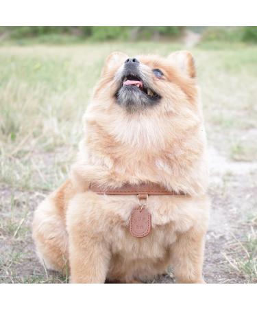 Muki & Co Adjustable Double Dog Dishes - Safe & Comfortable for XS Small & Medium Dogs - Brown (Size XS: 33-37 cm) - Buy Online on SooperMarket.com