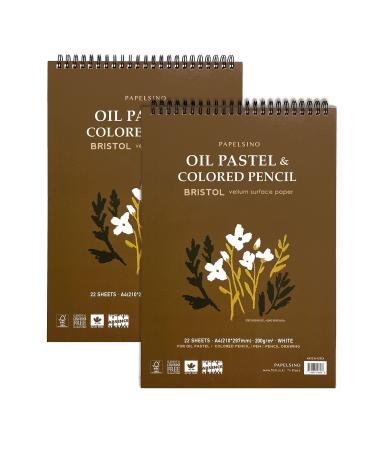 2 Pack of Papelsino Bristol Paper Sketchbook for Dry Media Oil Pastel Colored Pencil Pencil Drawing Vellum Surface (A4 Spring 2Pack 11.7 x 8.27) A4 Spring 2Pack 12.4 x 8.27 Inches