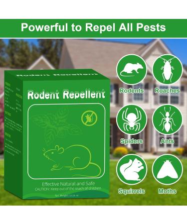 12 Pack Natural Peppermint Oil Rodent Repellent Balls - Safe Pest Control for Mice, Rats, Roaches, Moles, Squirrels, Ants, Moths - Indoor & Outdoor Use - Pet & Kid Safe - Buy Online on SooperMarket.com