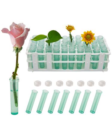 HQLESHUI 40 Pieces 2.8 Inch Plastic Water Tubes with 40-Hole Rack Holder for Flowers Floral Vials with Caps for Decoration Flower Arrangement Milkweed Cuttings 40PCS Tubes + Rack Holder