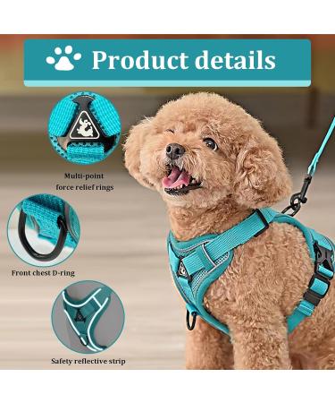 Fineasy Cat Dishes with Adjustable Leash - Outbreak-Proof Harness & Soft Cat Kitten Dog Breastware (Green S) | Shop Internationally - Buy Online on SooperMarket.com