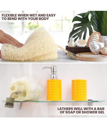 Natural Egyptian Shower Loofah Sponge Body Scrubber - 3 Count (1 Pack) - Buy Online on SooperMarket.com
