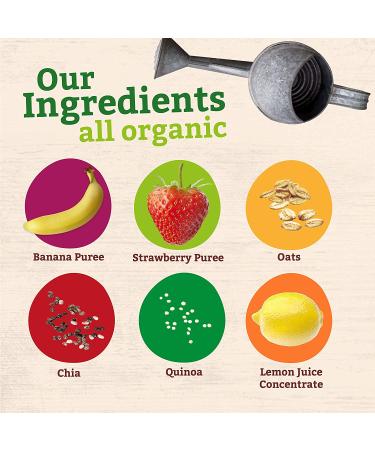 Pumpkin Tree Organics Super Oats & Seeds  Banana & Strawberry 40 Ounce (Pack of 10) - Buy Online on SooperMarket.com