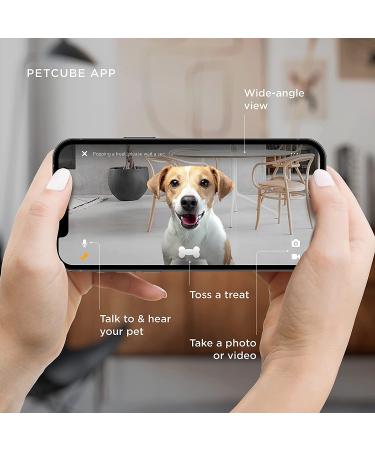 Petcube Bites 2 Lite: Interactive WiFi Pet Camera with Treat Dispenser | 1080p HD Video, Night Vision, Two-Way Audio | Cat & Dog Monitor - Buy Online on SooperMarket.com