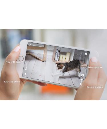 Petcube 2017: Smart Pet Camera with Interactive Laser Toy | HD Video, Two-Way Audio, Night Vision | App-Enabled Monitoring for Dog/Cat Safety - Buy Online on SooperMarket.com