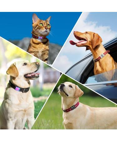 Yhananti Personalized Dog Tag - Engravable Stainless Steel Pet ID for Dogs & Cats - Custom Name Phone & Address (L Silver) for 19mm Collars - Buy Online on SooperMarket.com
