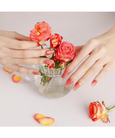 DANNI & TONI Sunset Shimmer Gel Nail Polish Strips - 28 Semi Cured Salon-Quality Stickers Set - Buy Online on SooperMarket.com