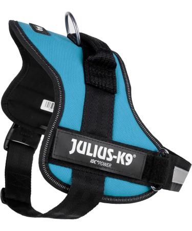 K9 Powerharness M/0 Aquamarine - Premium Dog Harness for Comfortable Walks | International Shipping Available - Buy Online on SooperMarket.com