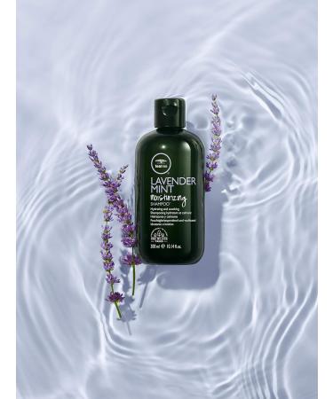 Shop Tea Tree Lavender Mint Gift Set - Revitalize with Natural Aromatherapy | Free International Shipping - Buy Online on SooperMarket.com