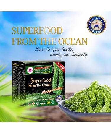 Longevity Sea Grapes | Umibudo Grape Seaweed | Vegan Caviar | 12 x 20g | Raw Food for Crispy Salads | 8.4 Ounce - Buy Online on SooperMarket.com
