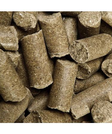 Speed Delicious Speedies Pure Apple - Grain-Free Pferdeleckerli Best Ingredients 1kg Apple Treats for Dogs - Buy Online on SooperMarket.com