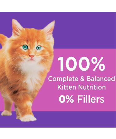IAMS Proactive Health Kitten Dry Cat Food Chicken Recipe 3.5 lb - Pack of 1 - Buy Online on SooperMarket.com