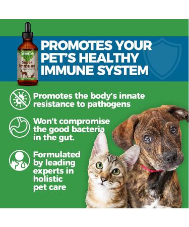 Animal Essentials Super Immune Support for Dogs & Cats - 1 fl oz | Promotes Healthy Immune System - Ol Complex - 2 fl oz - Buy Online on SooperMarket.com