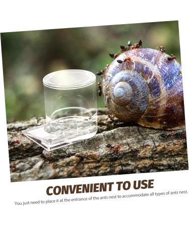 Didiseaon Pet Water Feeder Ant Nest Water Feeder Ants Feeding Device Ants Waterer Ant Feeder Climbing Pet Food - Buy Online on SooperMarket.com