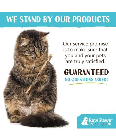 Raw Paws Silvervine Catnip Sticks 30-ct - Natural Matatabi Chew Toys for Indoor Cats - Silver Vine Kicker Toy - 30-pack - Buy Online on SooperMarket.com