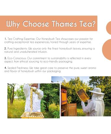 Thames Tea - Premium Flavoured Loose Leaf Fruit & Herbal Tea - Tubebox (Honeybush Tea) - Buy Online on SooperMarket.com