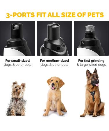 LuckyTail Dog Nail Grinder Trimmer: Professional 2-Speed Electric Pet Grooming Tool Kit | Quiet & Painless Paw Clipping | Rechargeable - Buy Online on SooperMarket.com