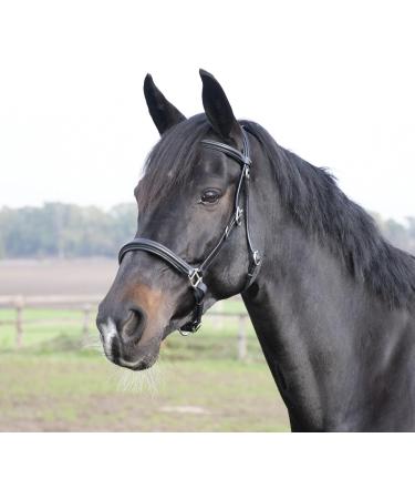 Solibel Trekking Bridle Black - Stainless Steel Thoroughbred Fit | International Shipping Available - Buy Online on SooperMarket.com