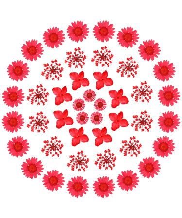 60PCS Real Pressed Dried Flowers for Resin Crafts, Natural Dried Pressed Flowers for Candle Making Resin Jewelry Phone Case DIY Framed Decor (Red)
