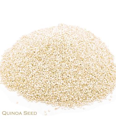Quinoa Seed and Lapacho Herbal Infusion (25 Unbleached Tea Bags - 50g) - Buy Online on SooperMarket.com