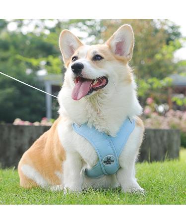 Buy Dog Harness for Small Dogs - No Pull Reflective Soft Vest & Leash - Safe & Comfortable - Blue - Buy Online on SooperMarket.com