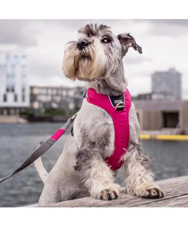 DOG Copenhagen Comfort Walk Pro Harness - Size XL Black - Buy Online on SooperMarket.com
