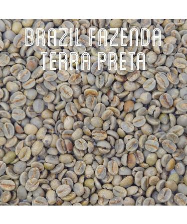 Green Coffee Beans 227g - Brazil Fazenda Terra Preta - Brown Bear - SCA 87.5 Score - Cup of Excellence - Unroasted Raw Coffee Beans for Home Roasters - Natural Dry Process - Buy Online on SooperMarket.com