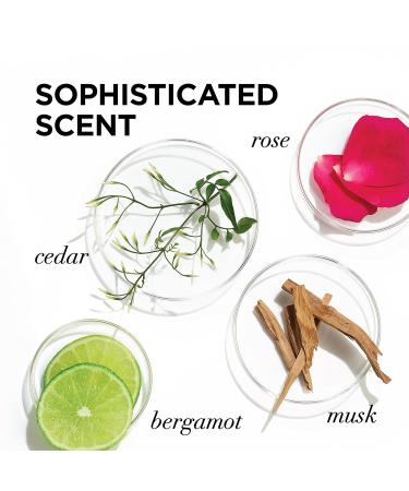 L'Oreal Paris EverPure Moisture Conditioner - Rosemary - 11 fl oz - Buy Online on SooperMarket.com