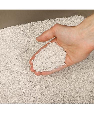 Petsentials Super Clumping Cat Kitten Litter Ultra Absorbent Natural Cat Litter with Active Carbon (5L) White - Buy Online on SooperMarket.com