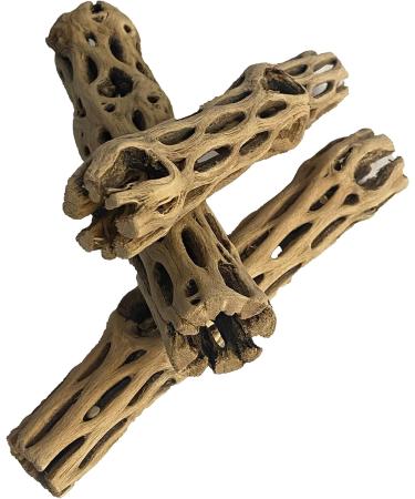Awesome Aquatic Natural Cholla/Choya Wood 3 Pieces 6 for Shrimp Habitat and Food Treat Hermit Crabs Plecos Aquarium Decoration Lowers pH Hideouts and Chew Toys Reptiles Thorn Free Dried Organic 3 pc 6 inch - Buy Online on SooperMarket.com