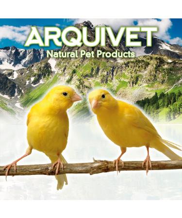 Arquivet Red Mirror for Bird Cages | 12x10 cm | Toys & Accessories for Canaries Budgies Agapornis & Parrots - Buy Online on SooperMarket.com