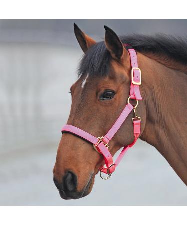 Shires Topaz Nylon Pony/Horse Headcollar - Black Pink Cob
