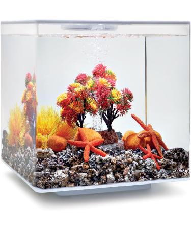 Buy biOrb 55024 Decor Set 15L Autumn | Colorful Aquarium Decor for 15L biOrb Aquariums - Buy Online on SooperMarket.com