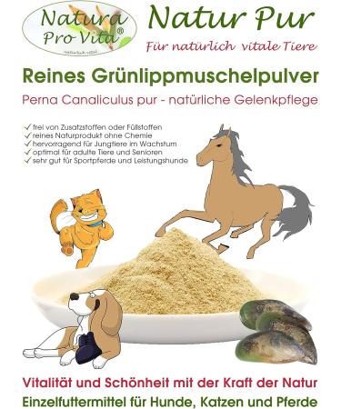 Top Quality Green-Lipped Mussel Powder for Cats - Natural Taurine Source Supports Bones & Fur High Bioavailability 100g - Buy Online on SooperMarket.com