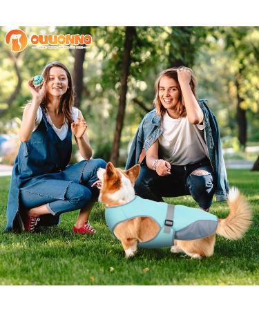Dog Cooling Vest - Breathable Mesh Ice Jacket for Small, Medium, and Large Dogs - Adjustable Straps - Medium Blue - Buy Online on SooperMarket.com