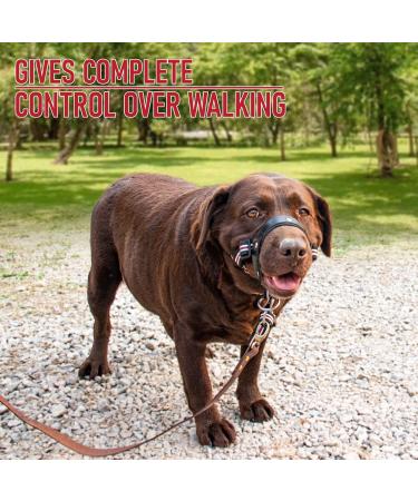 Alpha Boy Dog Training Collar | Comfortable & Gentle Handlebars for All Breeds | Real Leather Medium Harness with Quick Lock Buckle - Easy to Use - Buy Online on SooperMarket.com