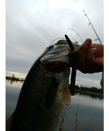 Real Fish Sink-O-Ring for Yamamoto Senko Worms | Soft Baits Rig O-Ring Tool | 3/8 inch Black - Buy Online on SooperMarket.com