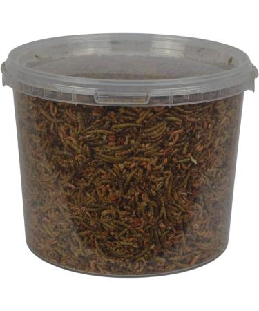 Supa Dried Mealworm Fruit & Honey Cocktail Mix for Wild Birds 3 Litre Bucket - High Energy Protein Rich Treat for Garden Birds - Attract More Birds with Quality Wild Bird Food - Buy Online on SooperMarket.com