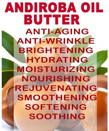 Botanical Beauty Andiroba Oil Butter - Raw Pure Natural Virgin Unrefined Cold-Pressed 16 Fl Oz | Nourish Face Skin Body Hair Lips & Nails - Rich in Vitamin E & C - Buy Online on SooperMarket.com