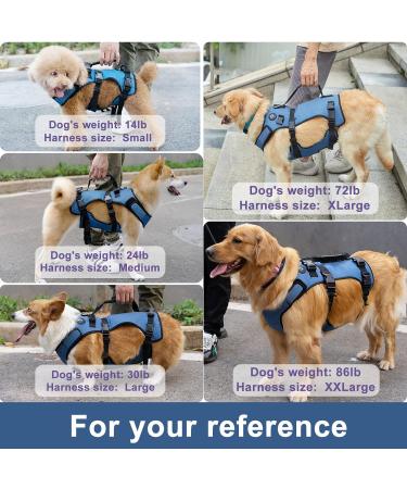 COODEO Dog Lifting Harness - Adjustable Breathable Support for Rehabilitation | Ideal for Old & Disabled Pets - Blue - International Shipping - Buy Online on SooperMarket.com