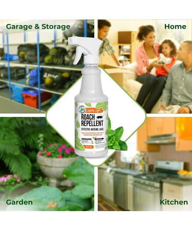 Mighty Mint 16oz Natural Peppermint Oil Spray - Cockroach Repellent - Buy Online on SooperMarket.com