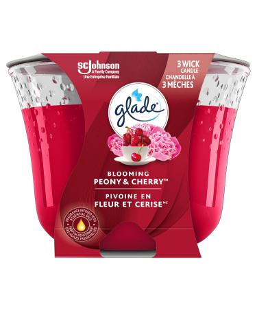 Glade Scented Candle Blooming Peony and Cherry 3-Wick Candle Air Freshener Infused with Essential Oils for Home Fragrance 1 Count